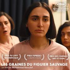 LES GRAINES DU FIGUIER SAUVAGE