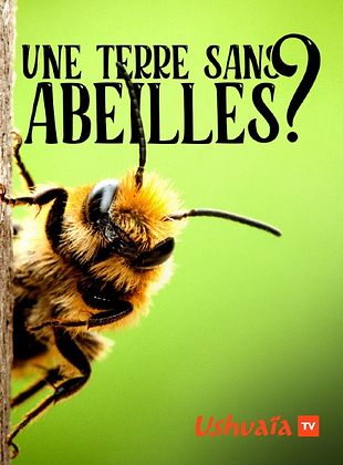 UNE TERRE SANS ABEILLES ?